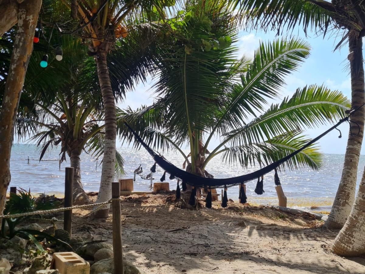 Hotel Maya Luna Adults Only Mahahual Ngoại thất bức ảnh